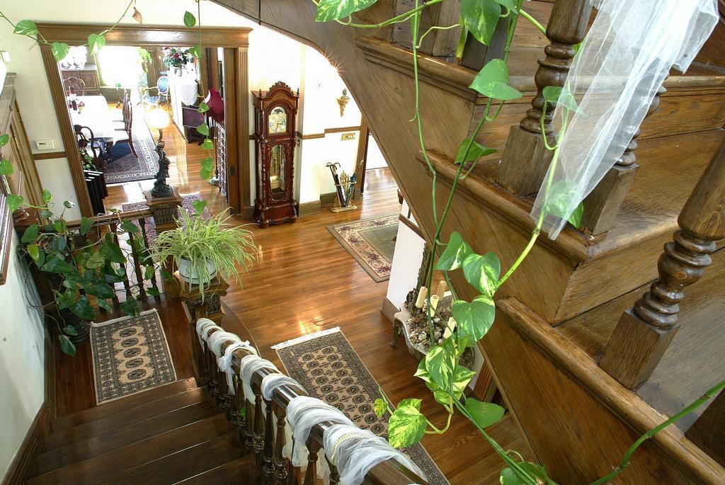 Beall Mansion An Elegant Bed & Breakfast Inn Alton Exteriör bild
